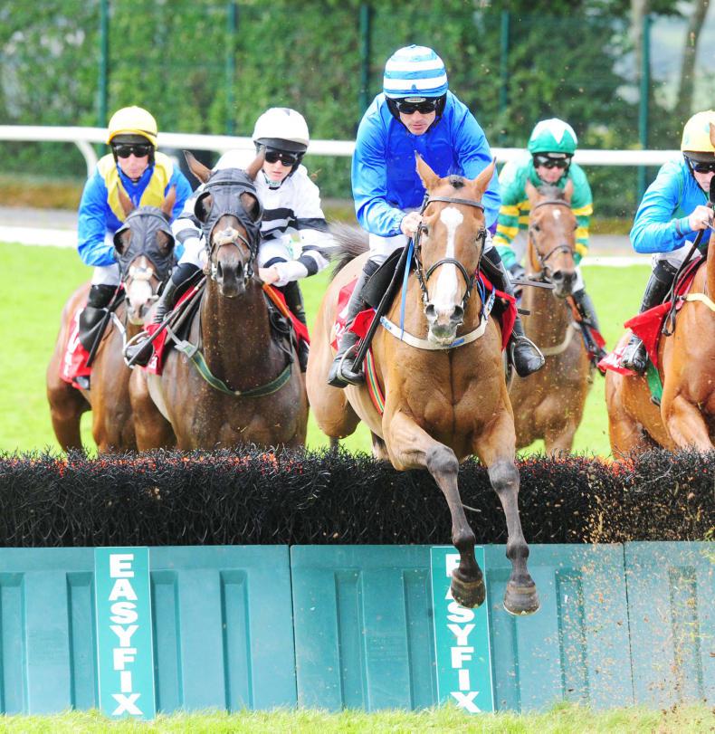 GOWRAN SATURDAY: Revised weights give Shaneshill a good chance