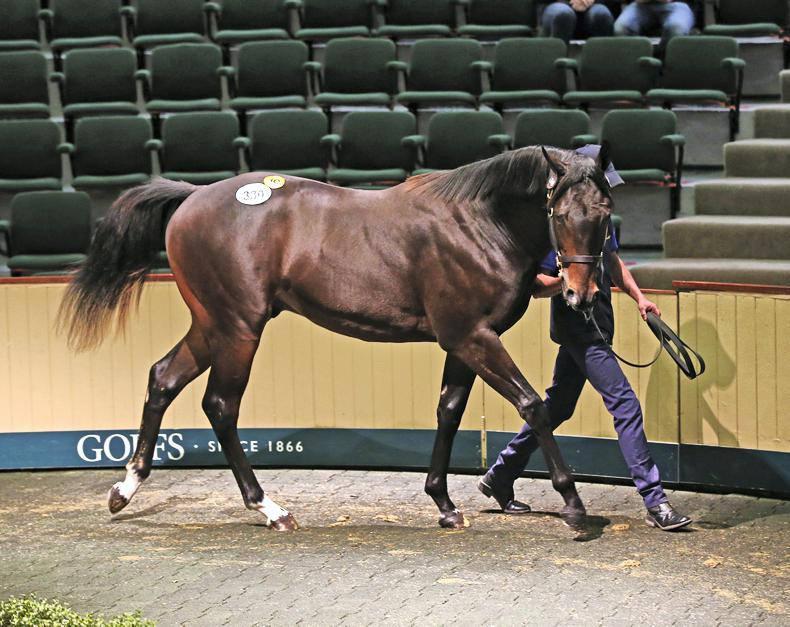 GOFFS: Orby holds its own but middle market tough