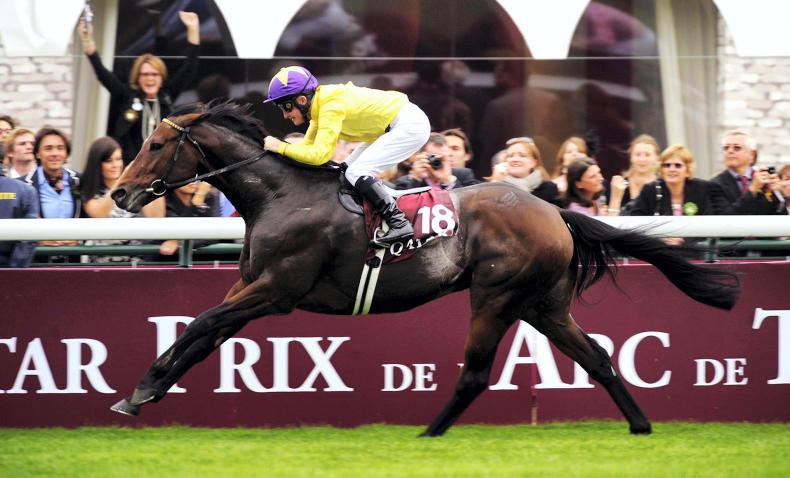 SALES: No shortage of talent by leading sires