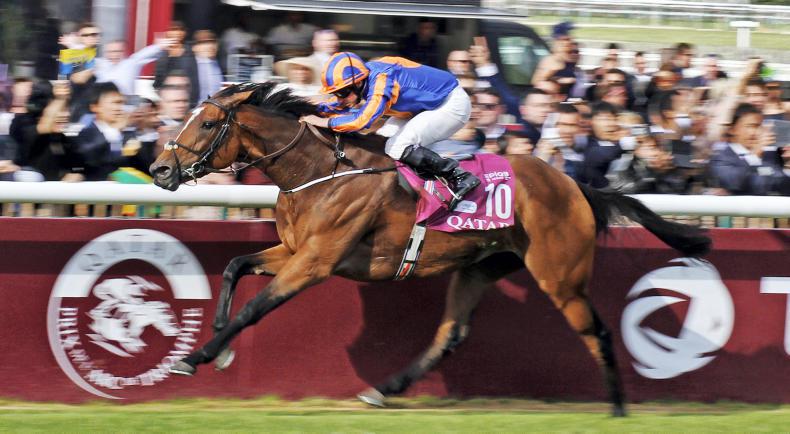 DONN MCCLEAN: This could be George's year