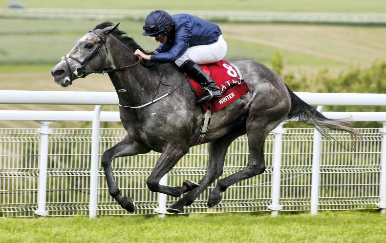 Winter here to stay at Chantilly