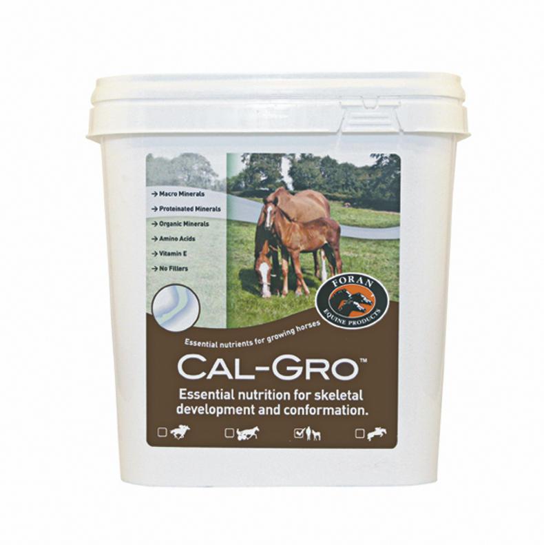 ADVERTORIAL: Foran Equine                      