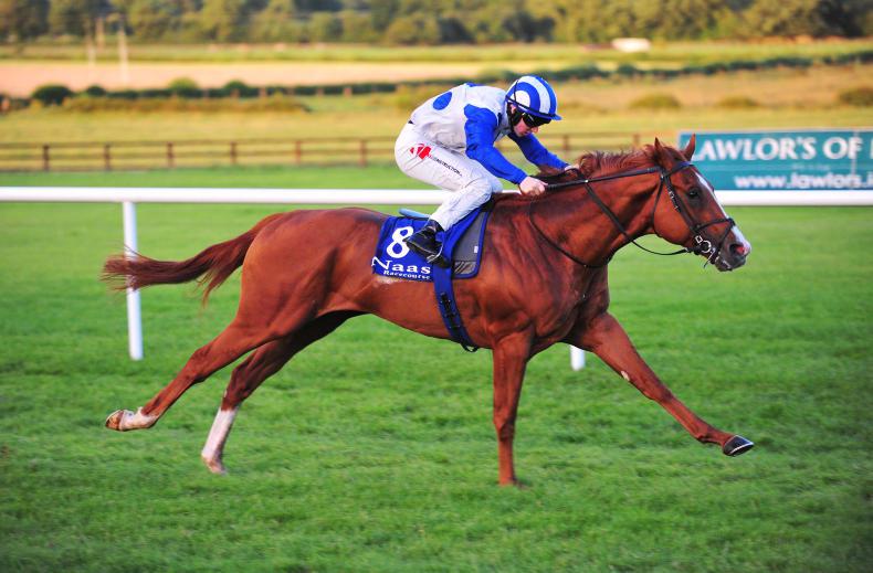 Psychedelic Funk hits the right note at Tipperary