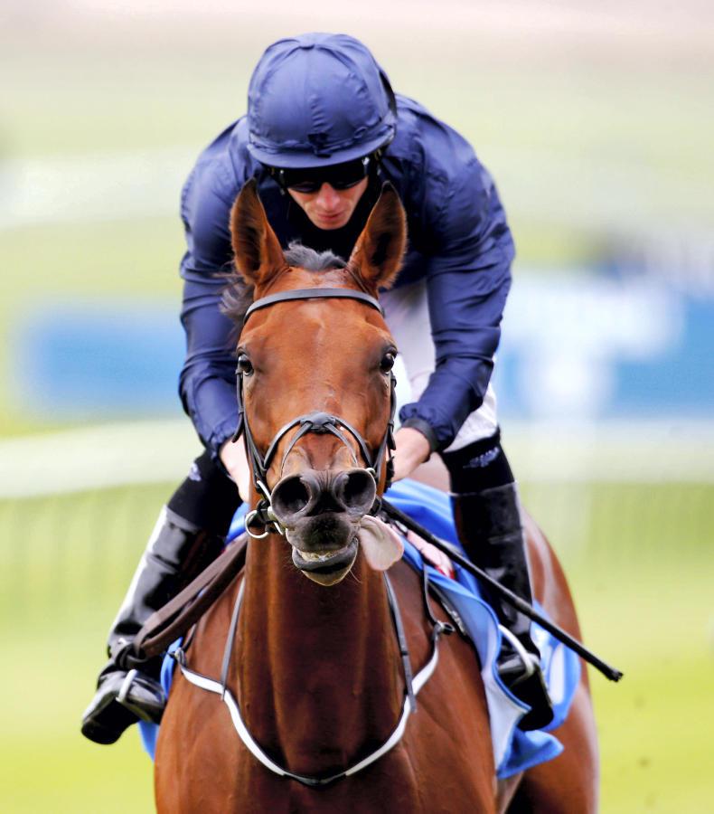 Rhododendron back in full bloom