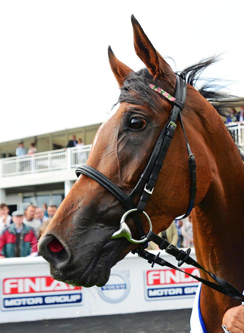 Enable - Her star-studded path to the Prix de l'Arc de Triomphe