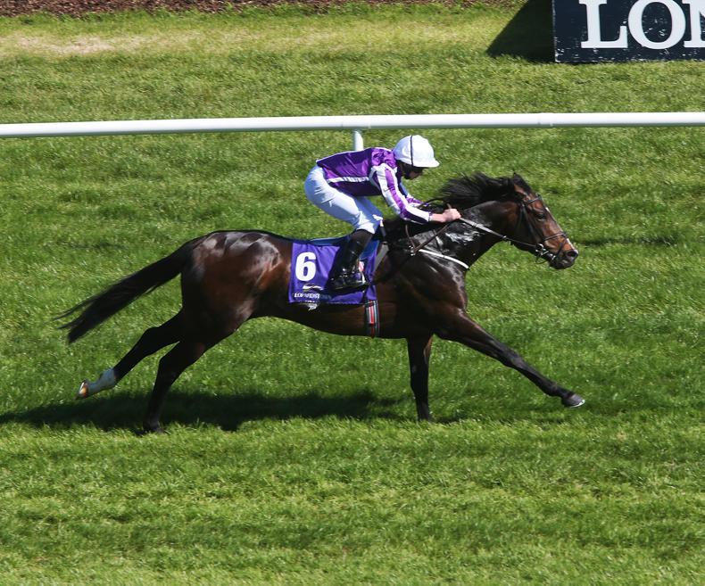 AUSTRALIA: International horses arrive in Melbourne
