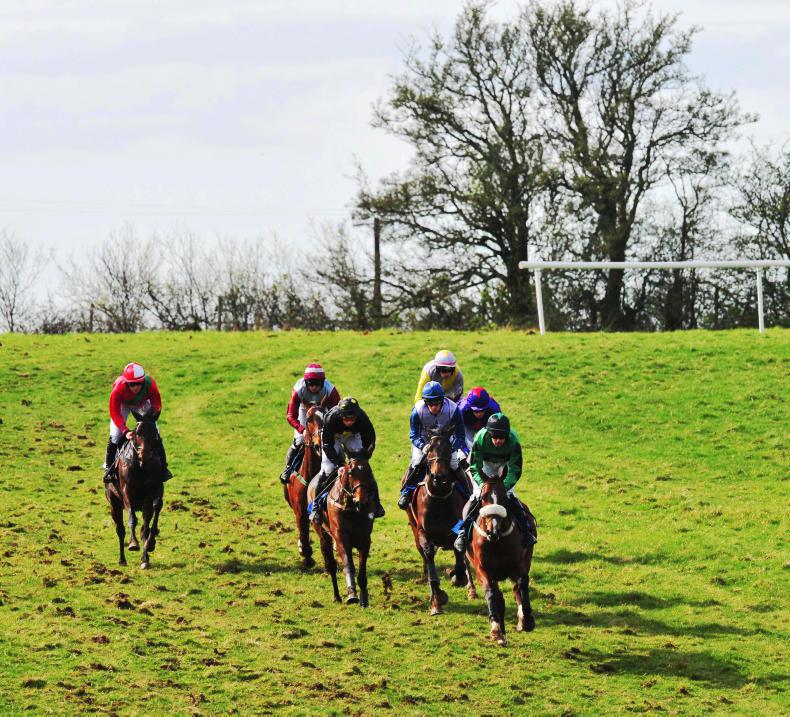 POINT-TO-POINT:   Fixtures positives but many mares make trouble 