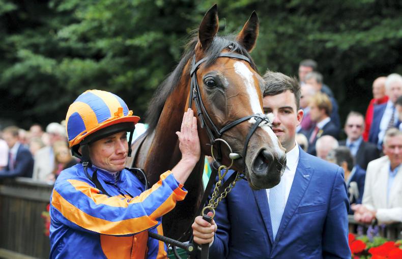 PEDIGREE NOTES: Four Group 1 wins and a new milestone for Galileo