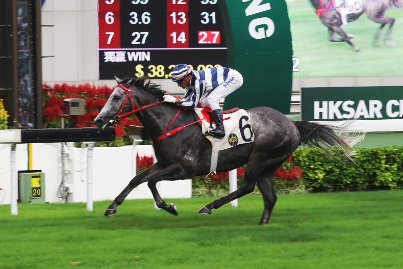 HONG KONG: Teetan’s all in with the improving Fifty Fifty
