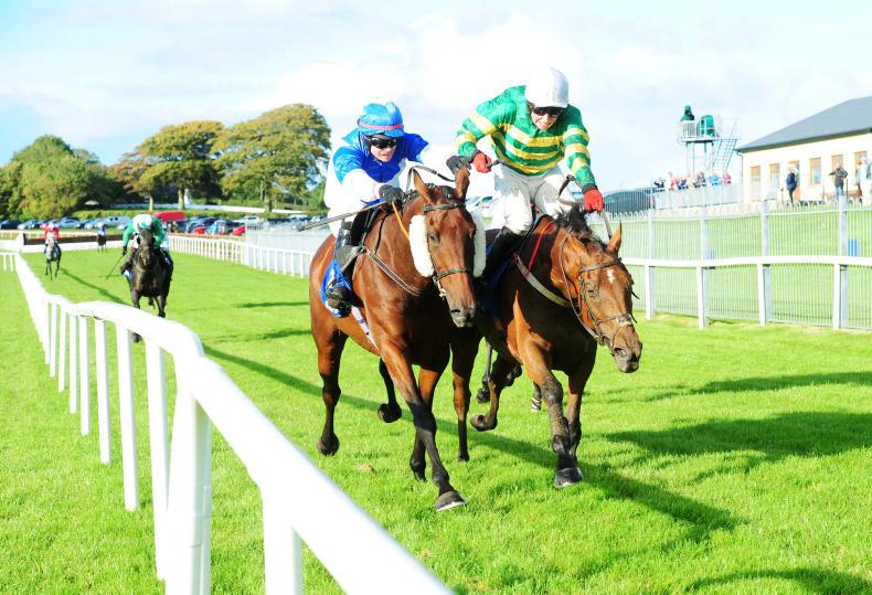 FAIRYHOUSE SATURDAY: Caniwillyegiveme would be a deserving winner 