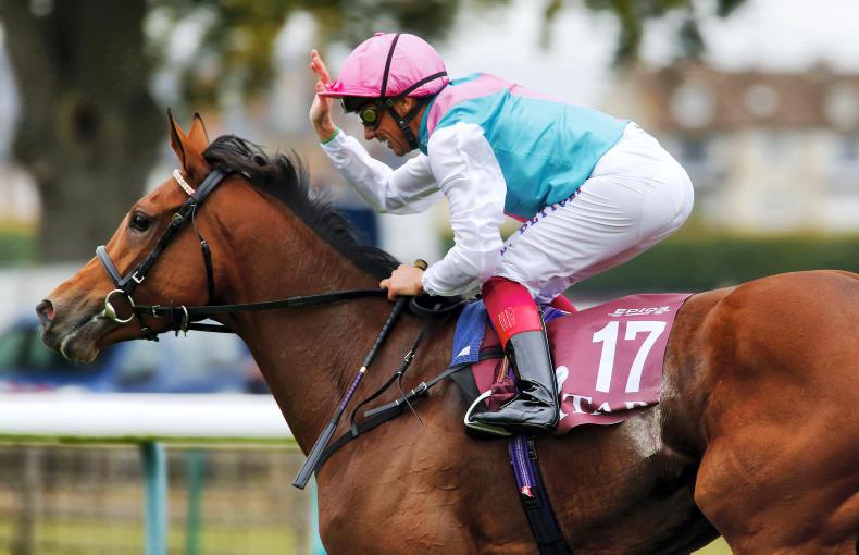 DONN McCLEAN: Enable has it all