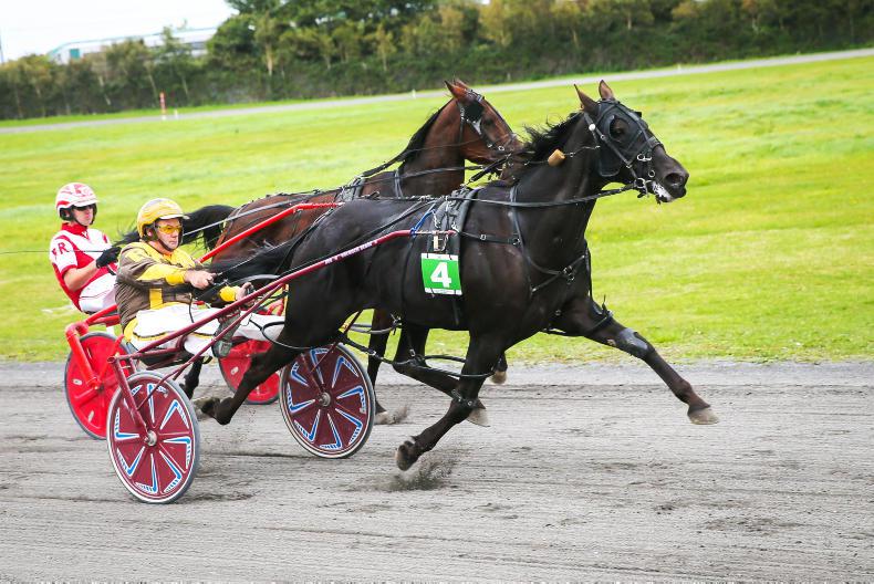 HARNESS RACING: Rambler rules in controversial final 