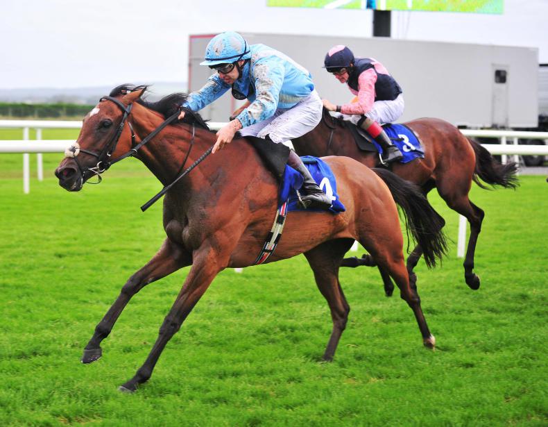 LIMERICK SATURDAY: Conditions to suit progressive Detailed