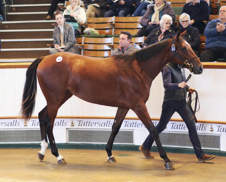 Stunning sale tops 100 million guineas