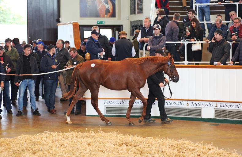 Dubawi is king as Meon Valley star again