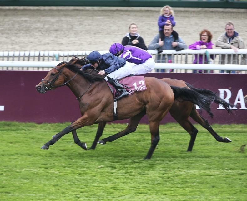 FRANCE: Rhododendron back to bloom in Prix de l'Opera