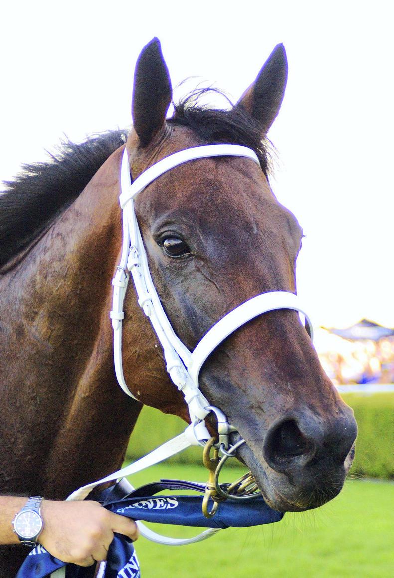 VIDEO: Winx makes it 21-in-a-row with easy Group 1 win at Flemington
