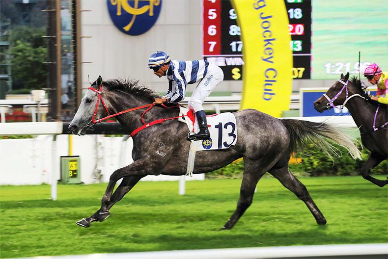HONG KONG: Teetan looking to future after Sha Tin double