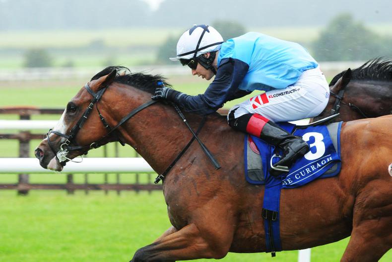 Gobi Desert takes Legacy spoils at Navan