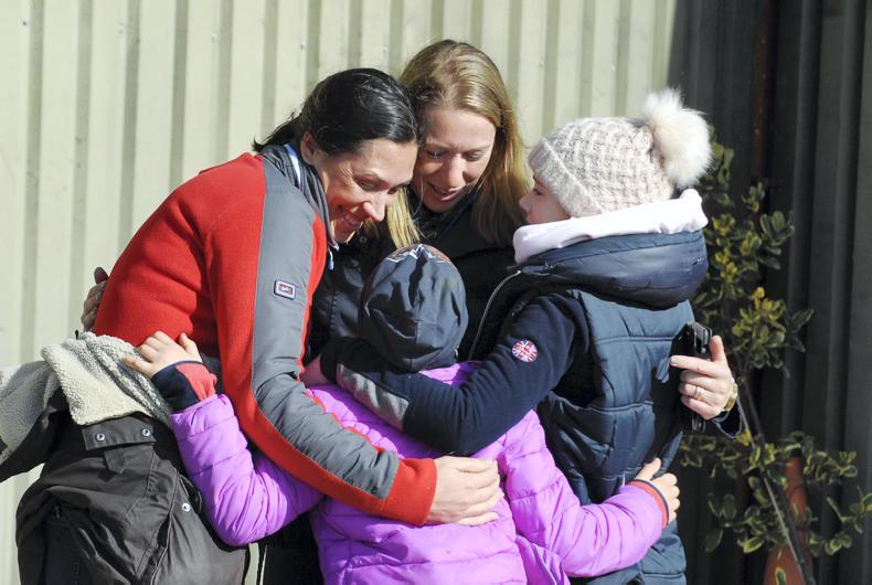 MULLINGAR SALES: Swedes buy top lot for €6,400