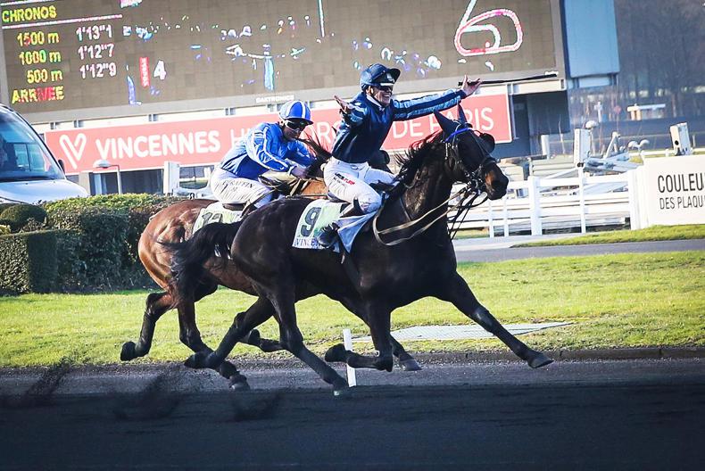 HARNESS RACING: Monté makes time for allcomers 