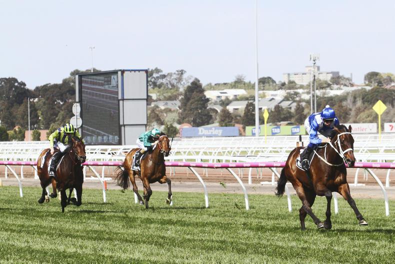 AUSTRALIA: Flemington in Winx fever 