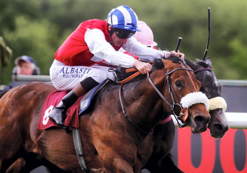 Profitable to stand at Kildangan Stud in 2018