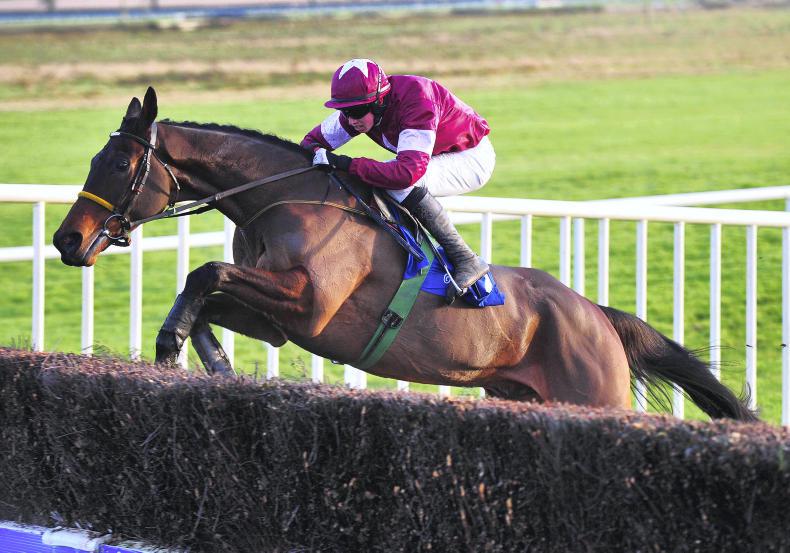 Noel Meade eyeing Troytown target with Galway scorer A Genie In Abottle