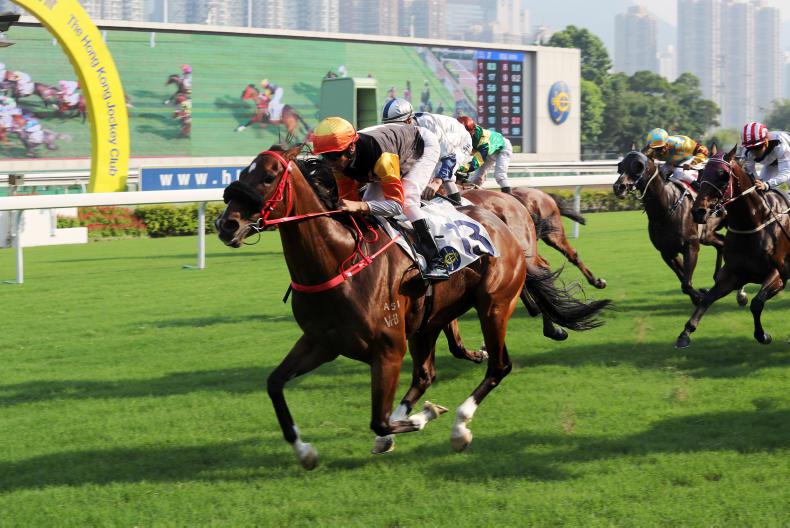 HONG KONG: Impressive Premiere sprints away with Happy Valley feature