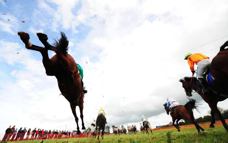 BEHIND THE SCENES: Bruff point-to-point
