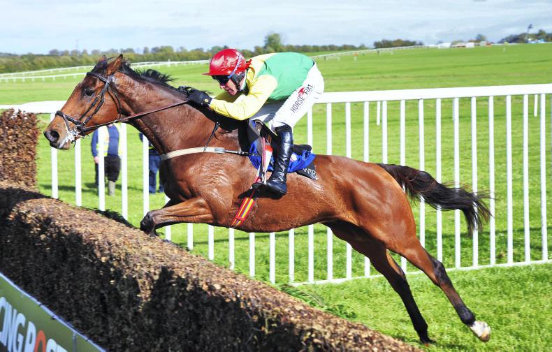 Born To Size off the mark over fences at Thurles