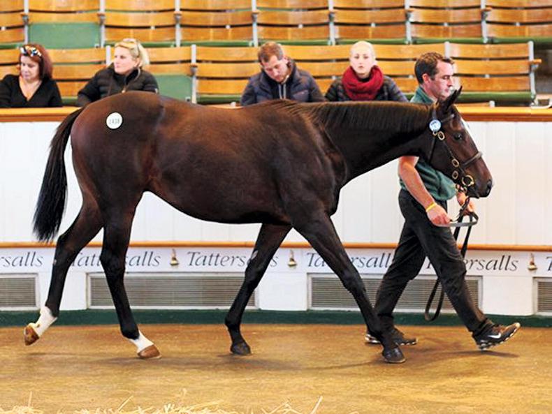 Opening day of Book 3 led by 85,000gns son of Bated Breath