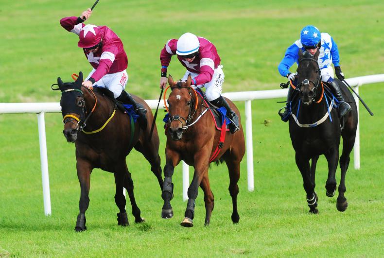 THURLES THURSDAY: Vengeful looks the part 