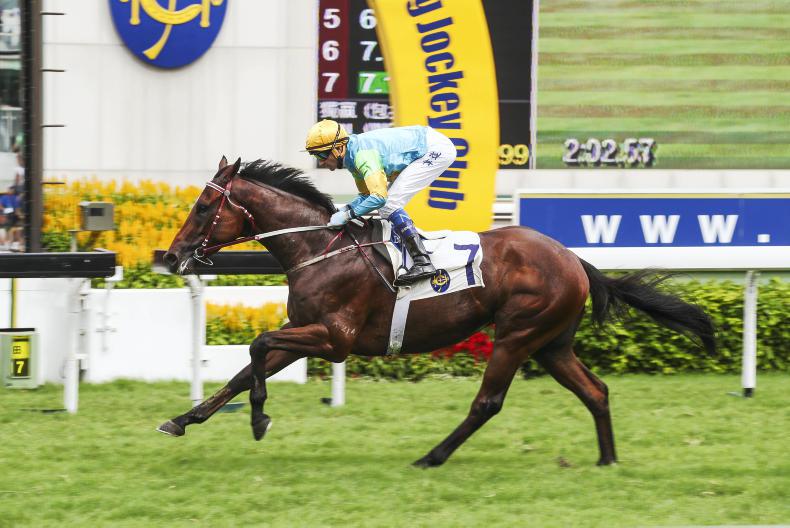 HONG KONG: Derby candidate Rocketeer’s ready for blast-off   
