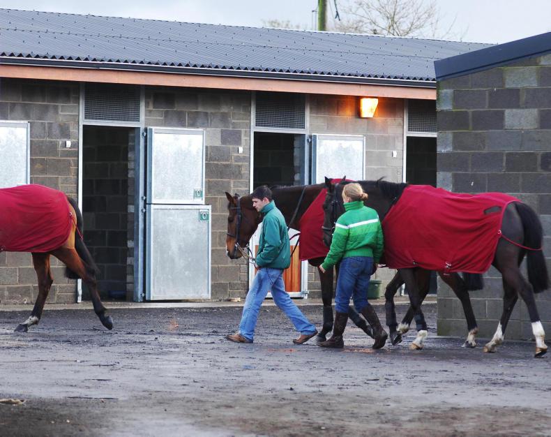 HORSE SENSE: Seven steps to make your property more secure