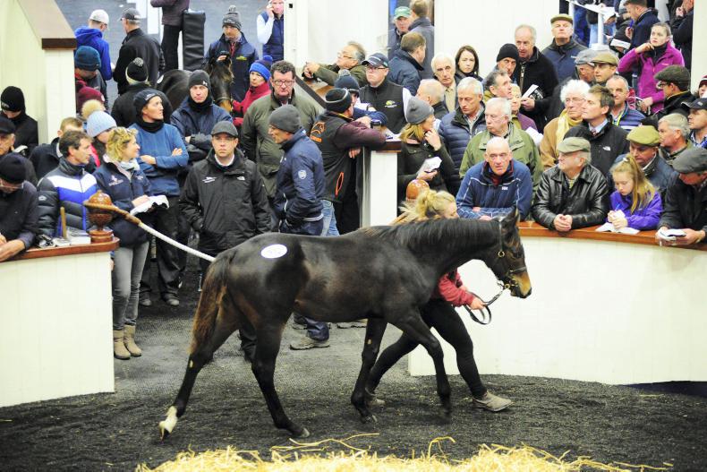 Grade 1 winning mares for sale at Fairyhouse