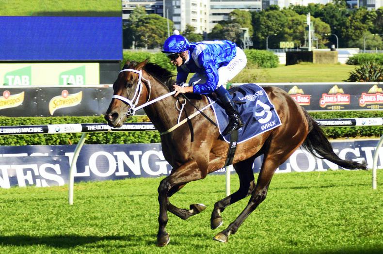 SIMON ROWLANDS: Winx worth waking for