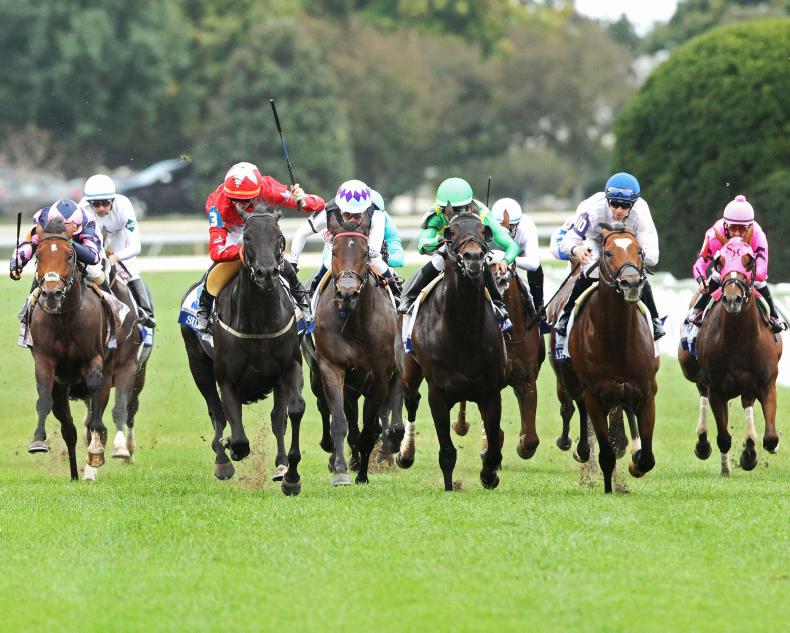 AMERICA: Suedois lands Grade 1 for O'Meara                 