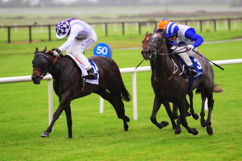 NAAS PREVIEW: Wave can progress again in Birdcatcher