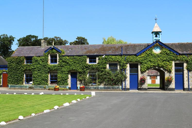 Stamp duty to hit stud farm sales