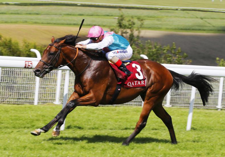 Verbal Dexterity forced to miss Expert Eye clash in Dewhurst Stakes