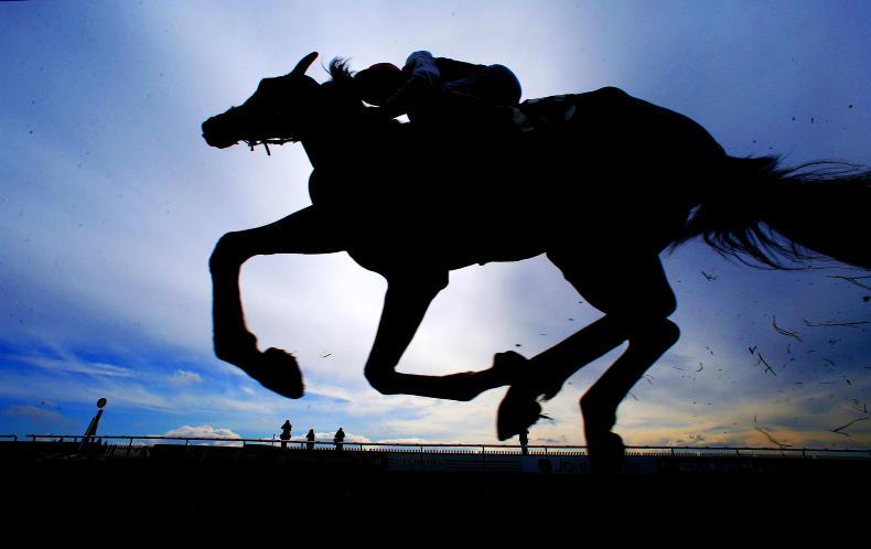 NEWS IN BRIEF: Racing and breeding stories from the October 14th issue