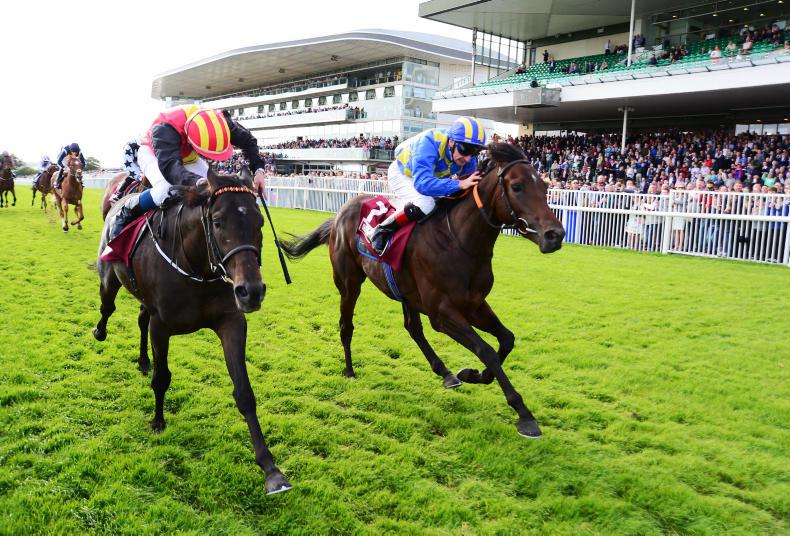 High quality field assembles for €120,000 Final