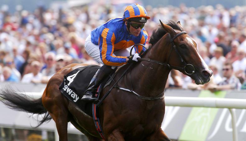 AMERICAN & CANADIAN PREVIEW:  Idaho on a mission for Aidan