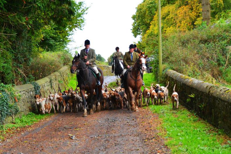 HUNTING SCENE:  Autumn colours