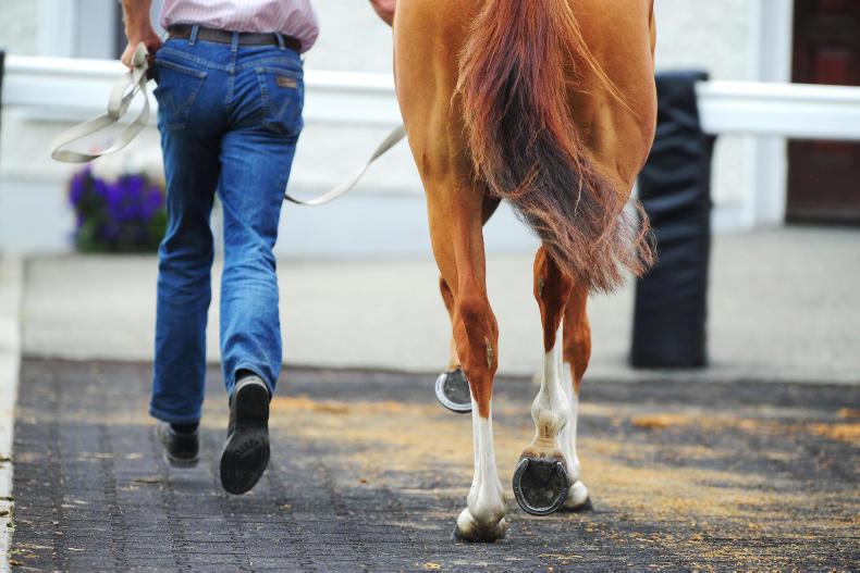 TATTERSALLS OCTOBER BOOK 2: Australia leads the way among the new boys