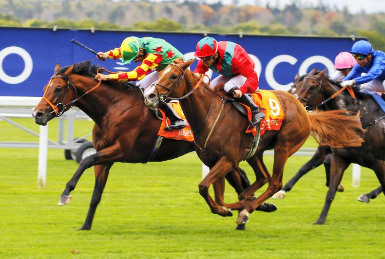 BRITAIN: Danehill Kodiac too strong                        