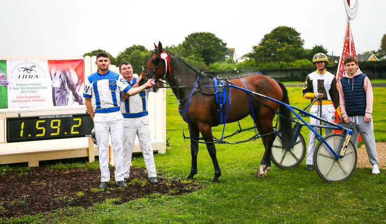 HARNESS RACING: Ultimo is the ultimate for Wallace 