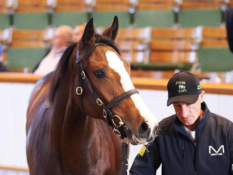 First-crop Garswood filly tops final session of record-breaking sale