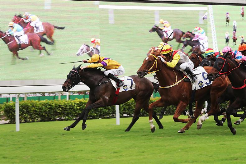 HONG KONG: Yiu’s Citron shows plenty of Spirit to land Hakka Cup